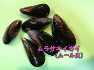 ムラサキイガイ　ムール貝　の基本と食べ方