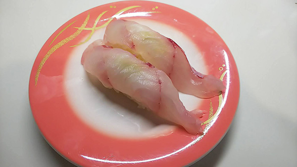 アオハタ　刺身　寿司